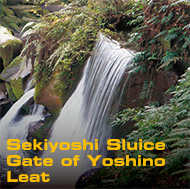 Sekiyoshi Sluice Gate of Yoshino Leat