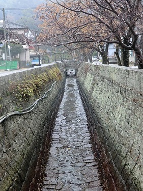 #44-3 三角西港東排水路.JPG