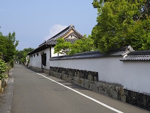_M229660.JPG